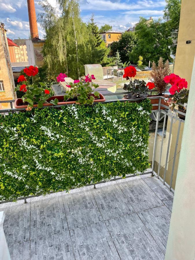 Pension Majovka Cheb Luaran gambar